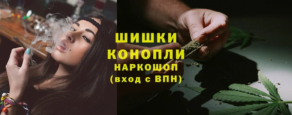 молекула духа Магас