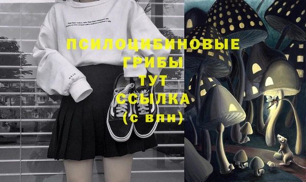 молекула духа Магас