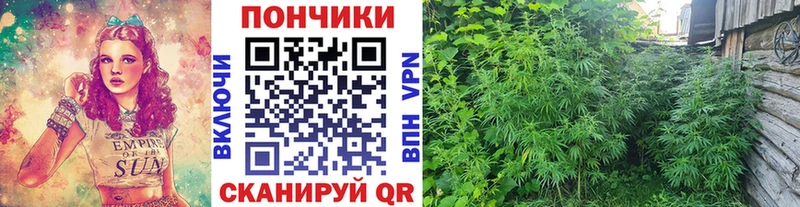 Марихуана MAZAR  Купить где  Саратов 
